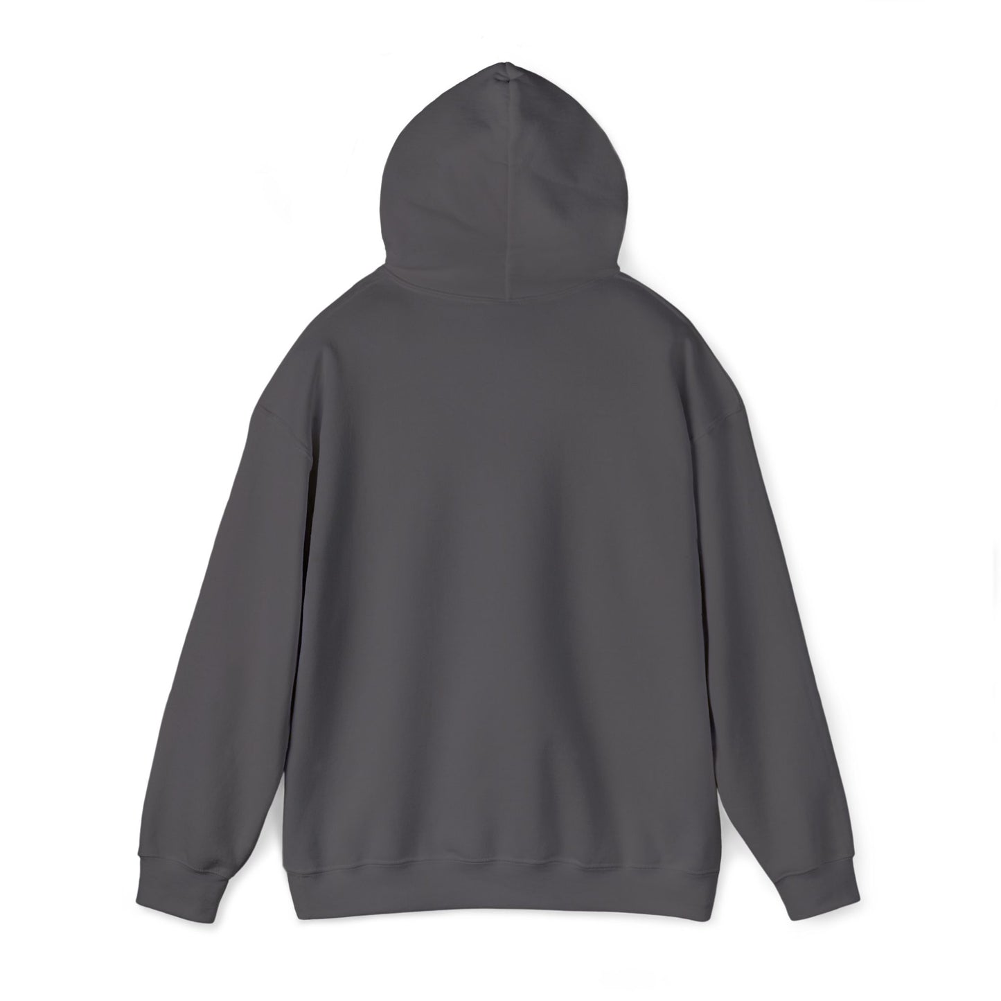 Jupiter Rubyz Cosmic Vibes Embroidered Hooodie