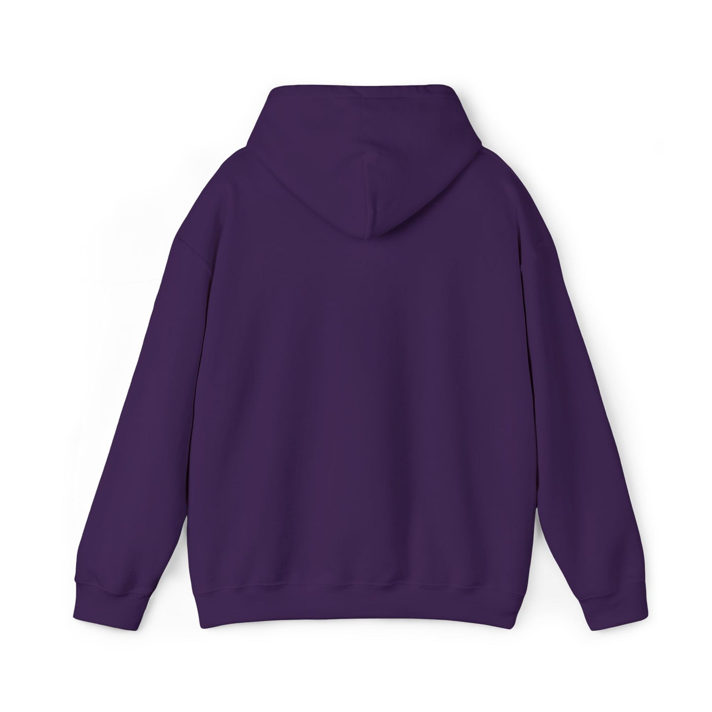 Jupiter Rubyz Cosmic Vibes Embroidered Hooodie