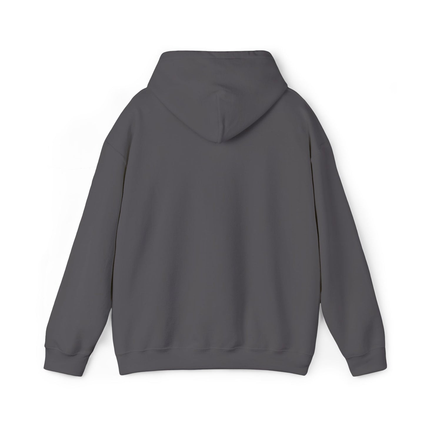 Jupiter Rubyz Cosmic Vibes Embroidered Hooodie